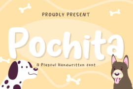 Pochita Font