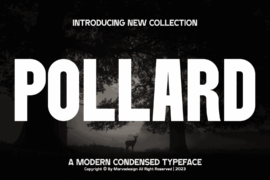 Pollard Font