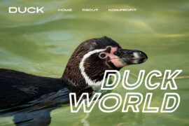 PQRMonday Font Family