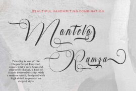Priestley Script Font