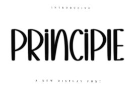 PRINCIPLE Font