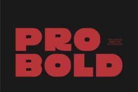 Pro Bold DEMO Font