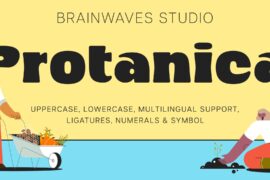 Protanica Demo Font