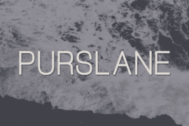 Purslane Font