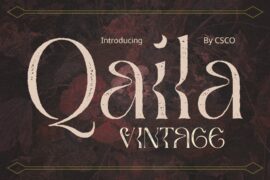 Qaila Vintage Demo Font