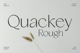 Quackey Rough Demo Font