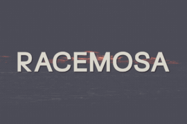 Racemosa Font