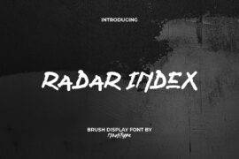 Radar Index Demo Font