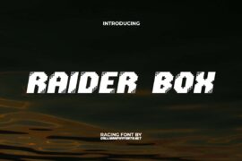 Raider Box Demo Font