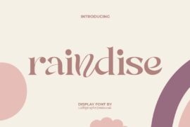 Raindise Demo Font