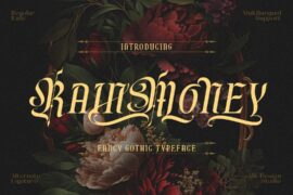 Rainmoney free version Font