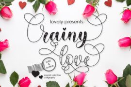 Rainy Love Font Family
