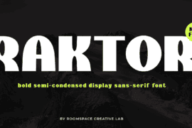 Raktor Font Family