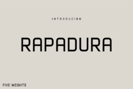 Rapadura Font Family