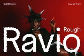 Ravio Rough Demo Font