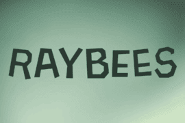 Raybees Font