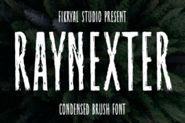 Raynexter Font Family