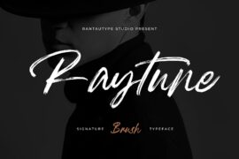 Raytune Font