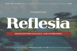 Reflesia Font