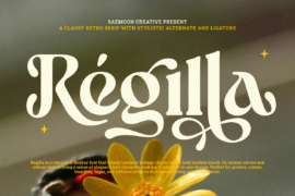 Regilla Personal Use Only Font