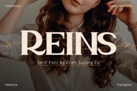 Reins Demo Font