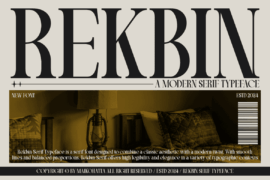 REKBIN Font