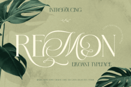 Remon Demon Font
