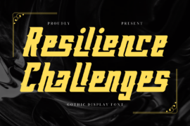 Resilience Challenges Demo Font