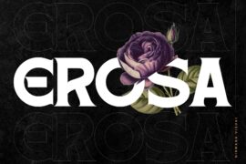 Retro Erosa – Demo Version Font