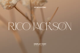 Rico Jackson Demo Font