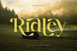 Ridley Font
