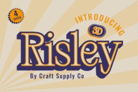 Risley 3D Demo Font