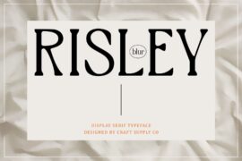 Risley Blur Demo Font