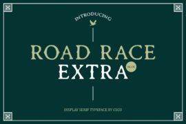 Road Race Extra Blur Demo Font