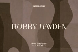 Robby Hayden Demo Font