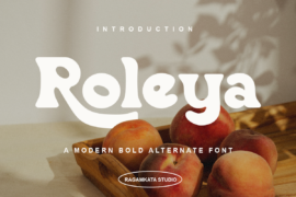 Roleya Demo Font Family