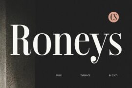 Roneys Demo Font