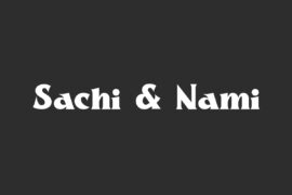 Sachi And Nami Demo Font