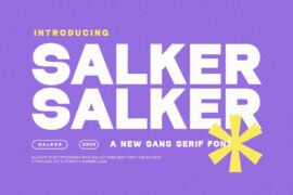 Salker Font