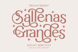 Sallenas Grandes Font