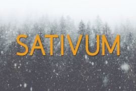 Sativum Font