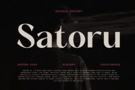 Satoru Font