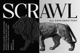 Scrawl Font