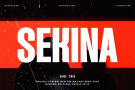 SEKINA Font