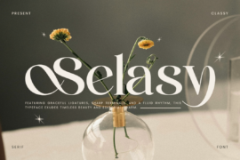 Selasy Font Family