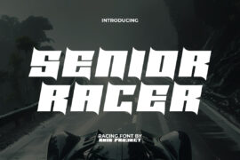 Senior Racer Demo Font