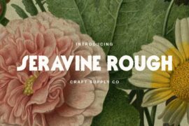Seravine Rough Demo Font