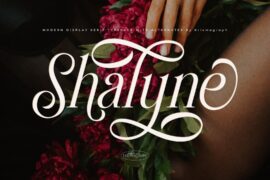 Shalyne Typeface PERSONAL USE ONLY Font