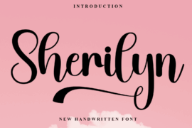 Sherilyn Font