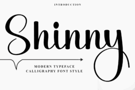 Shinny Font
